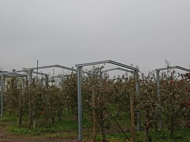 Structura panouri fotovoltaice la sol AGRO PV copertina cu 2 stalpi 2