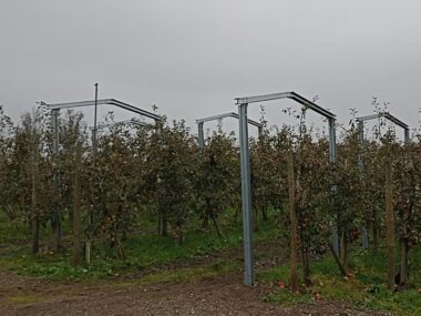 Structura panouri fotovoltaice la sol AGRO PV copertina cu 2 stalpi 3